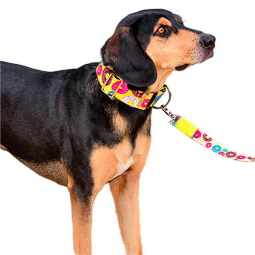 bellcher-collar-martingale-donuts-entrega-en-3-dias-habiles