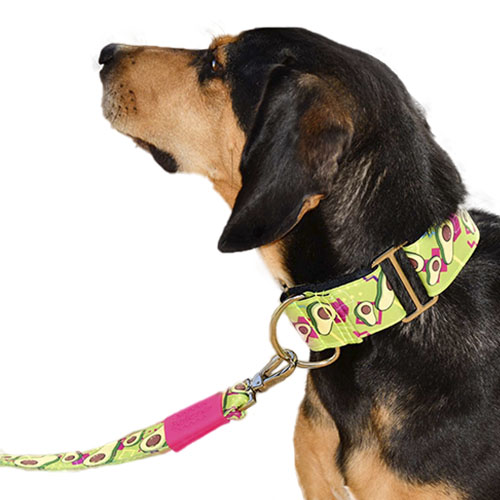 bellcher-collar-martingale-aguacates-entrega-en-3-dias-habiles