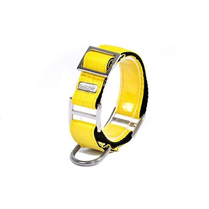 Bellcher - Collar Martingale Amarillo