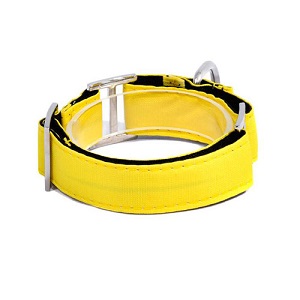 bellcher-collar-martingale-amarillo-entrega-en-3-dias-habiles