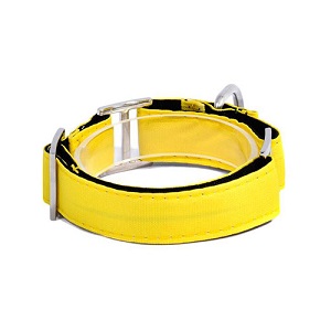 bellcher-collar-martingale-amarillo-entrega-en-3-dias-habiles