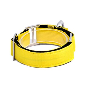 bellcher-collar-martingale-amarillo-entrega-en-3-dias-habiles