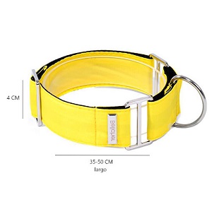 bellcher-collar-martingale-amarillo-entrega-en-3-dias-habiles