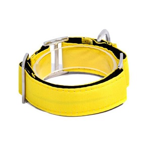 bellcher-collar-martingale-amarillo-entrega-en-3-dias-habiles