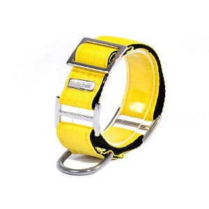 bellcher-collar-martingale-amarillo-entrega-en-3-dias-habiles