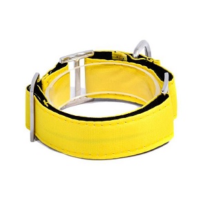 bellcher-collar-martingale-amarillo-entrega-en-3-dias-habiles