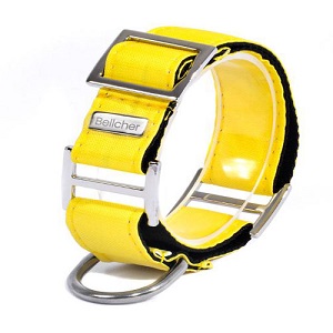 bellcher-collar-martingale-amarillo-entrega-en-3-dias-habiles