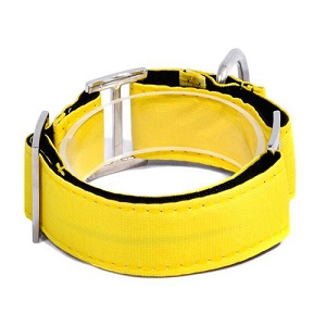 bellcher-collar-martingale-amarillo-entrega-en-3-dias-habiles