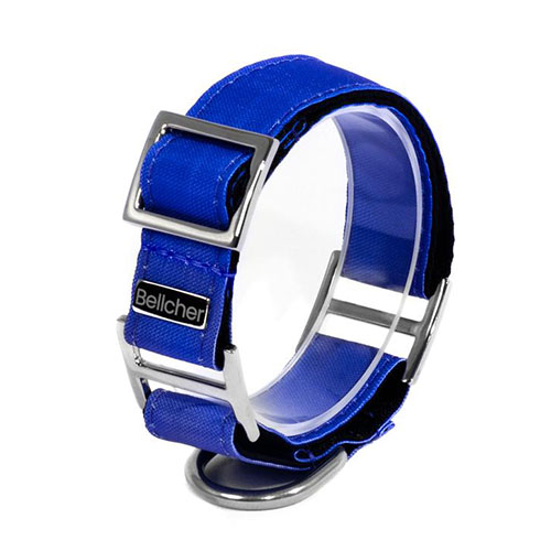 Bellcher - Collar Martingale Azul