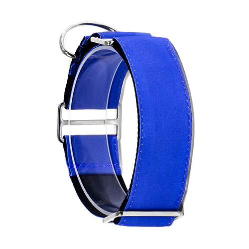 bellcher-collar-martingale-azul-entrega-en-3-dias-habiles