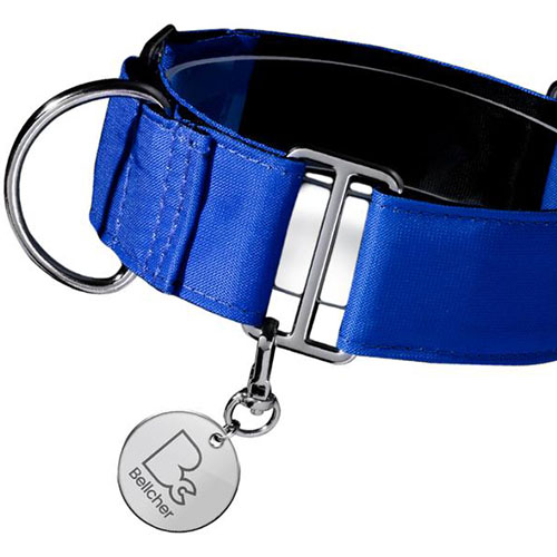 bellcher-collar-martingale-azul-entrega-en-3-dias-habiles
