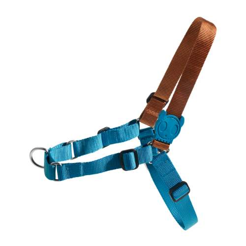 zeedog-delta-soft-walk-harness