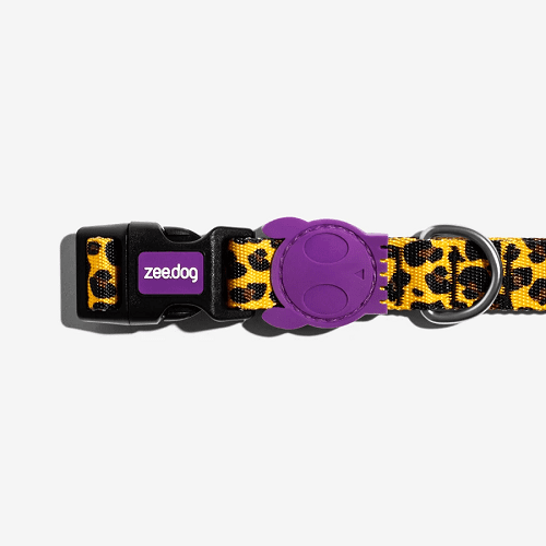 zeedog-collar-honey