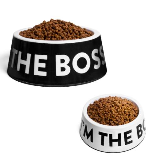 ZeeDog Im The Boss Bowl White