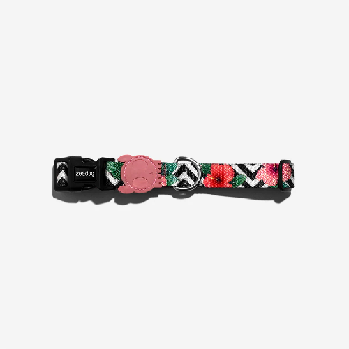 zeedog-collar-mahalo