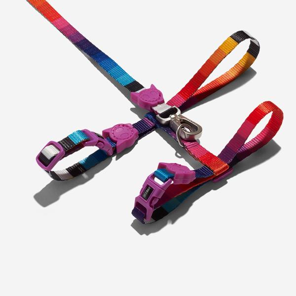ZeeDog Prisma Harness + Correa