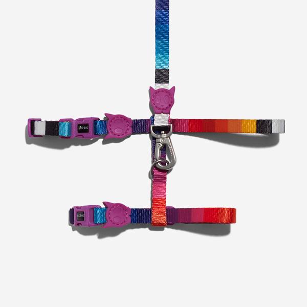 zeedog-prisma-harness-correa