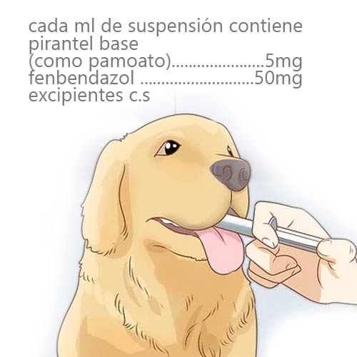 total-full-suspension-perros