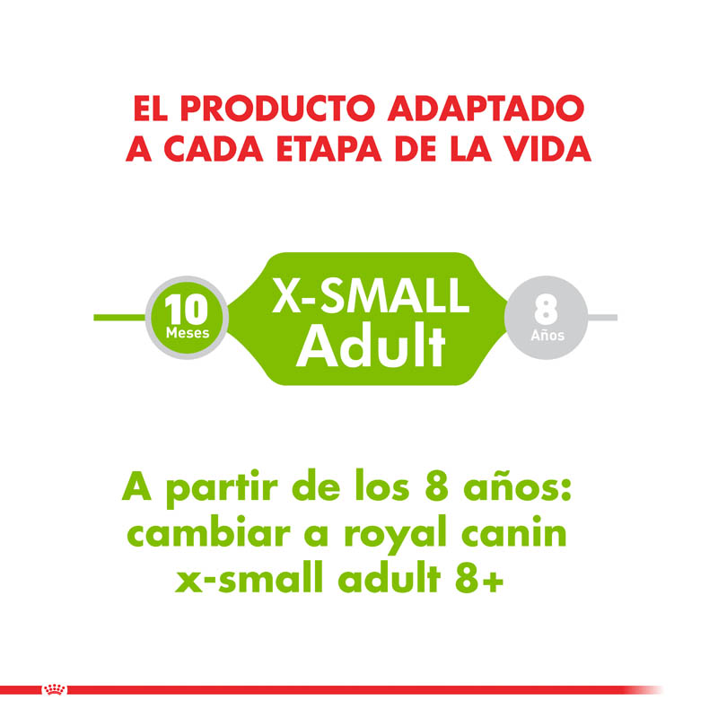 royal-canin-x-small-adulto