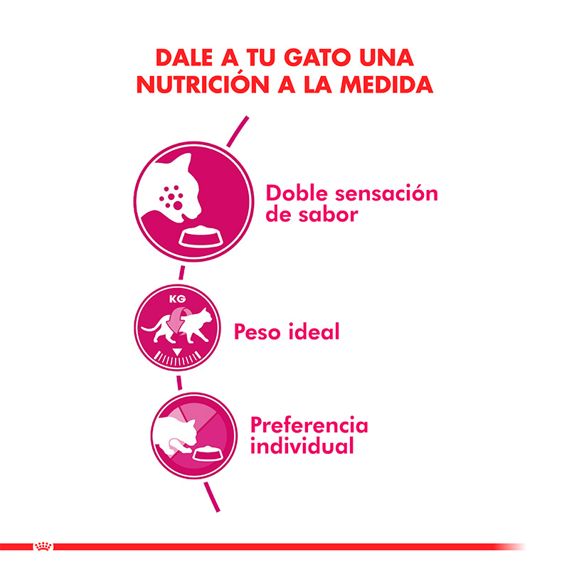 royal-canin-alimento-gato-adulto-exigent