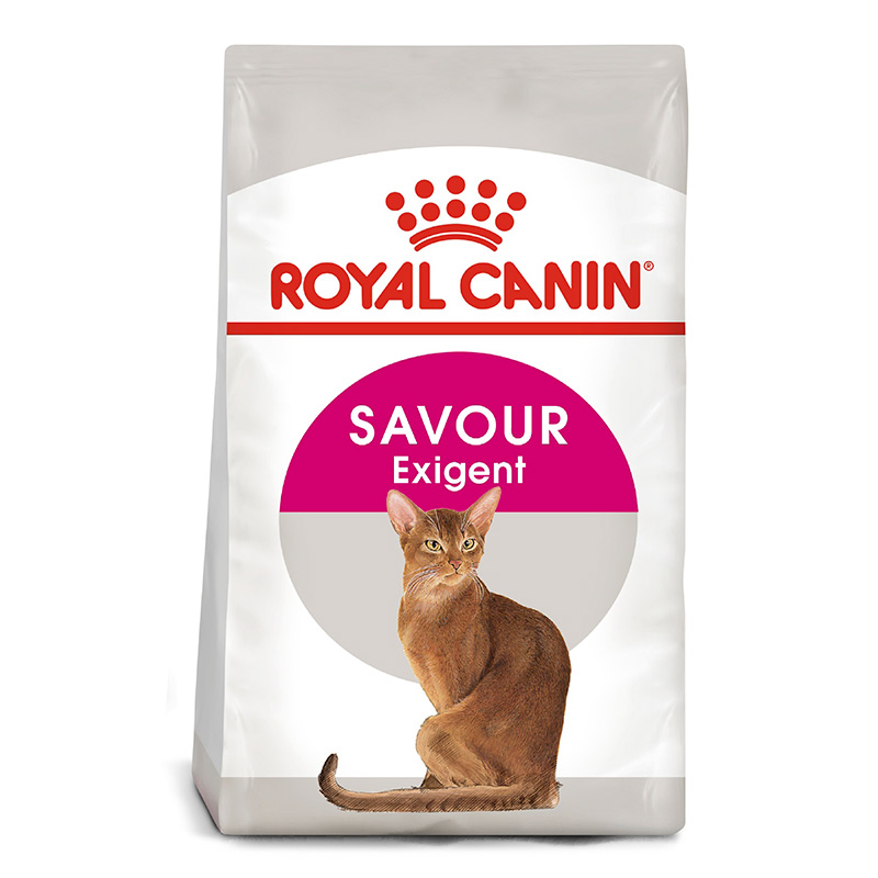 Royal Canin - Alimento Gato Adulto Exigent