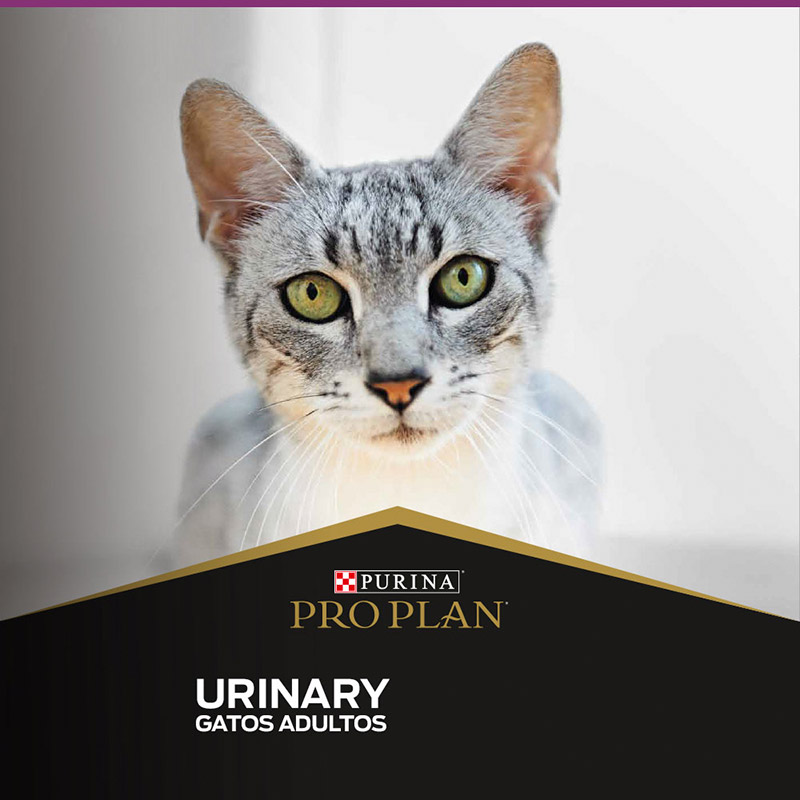 pro-plan-cat-urinary-optitract