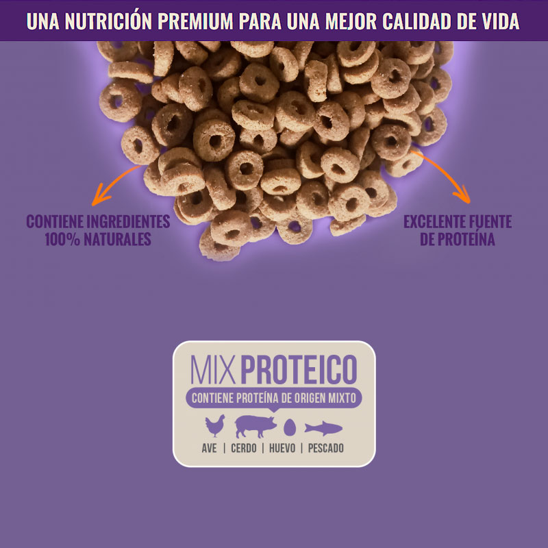 nomade-alimento-para-gato