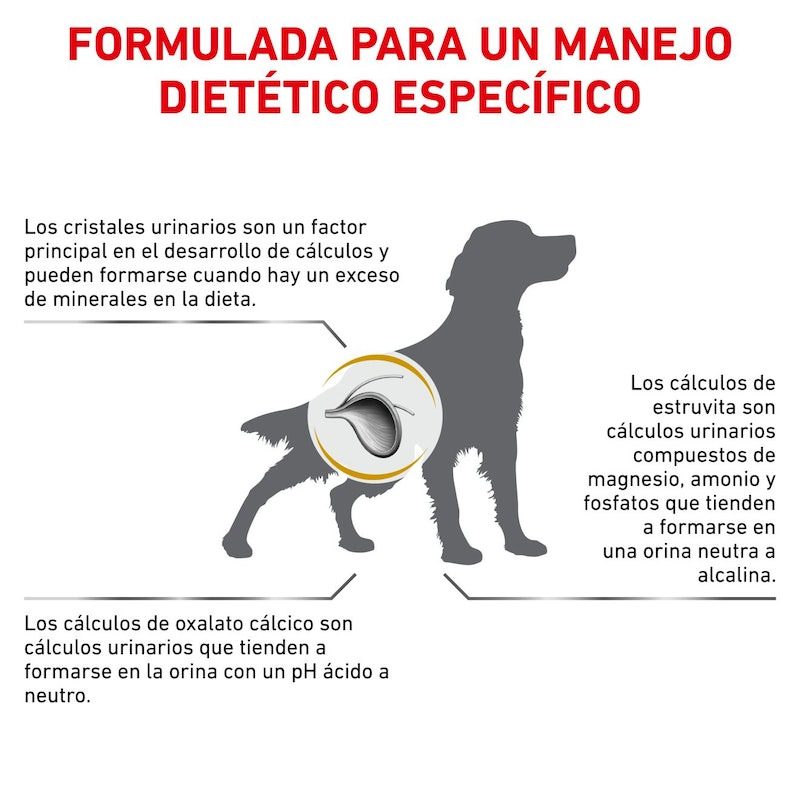 royal-canin-urinary