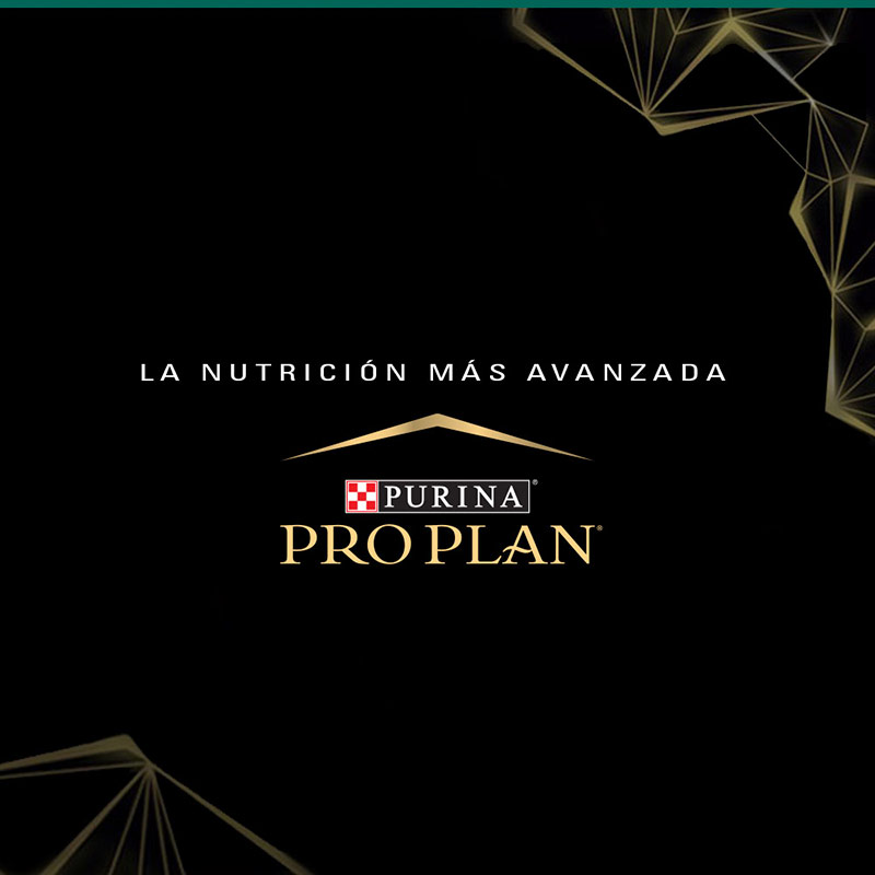 pro-plan-dog-puppy-optistart-raza-grande