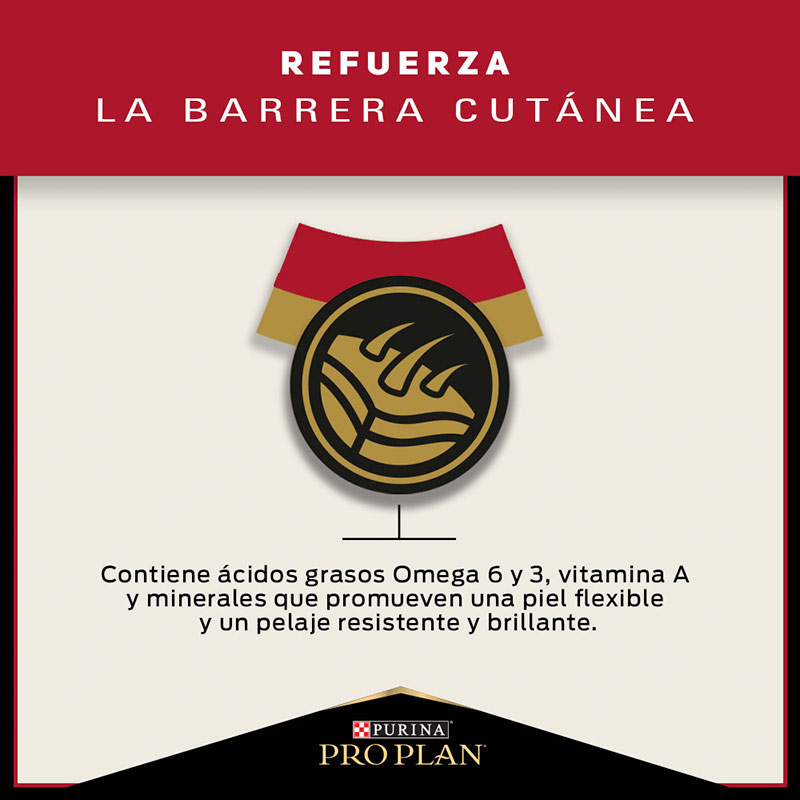 pro-plan-dog-adult-optihealth-raza-pequena