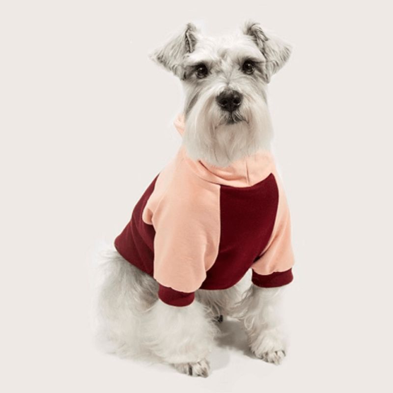 valentin-for-pets-sueter-cuello-tortuga