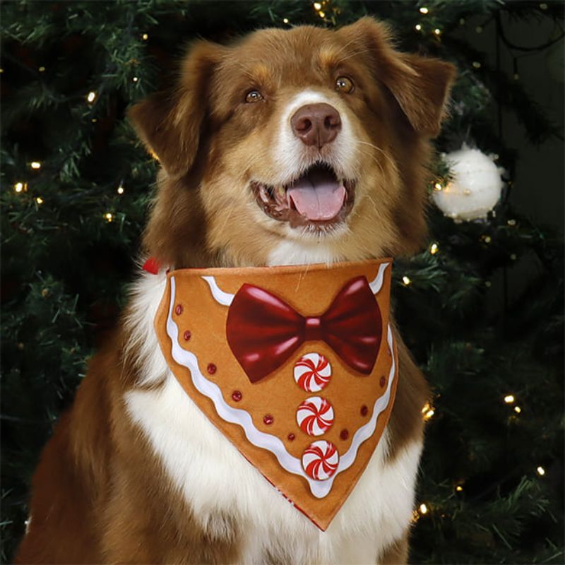 alana-bandana-ginger