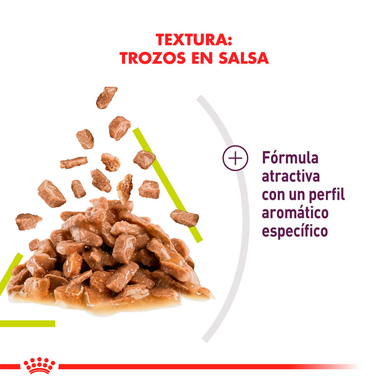 royal-canin-alimento-humedo-para-gato-adulto-sensory-smell