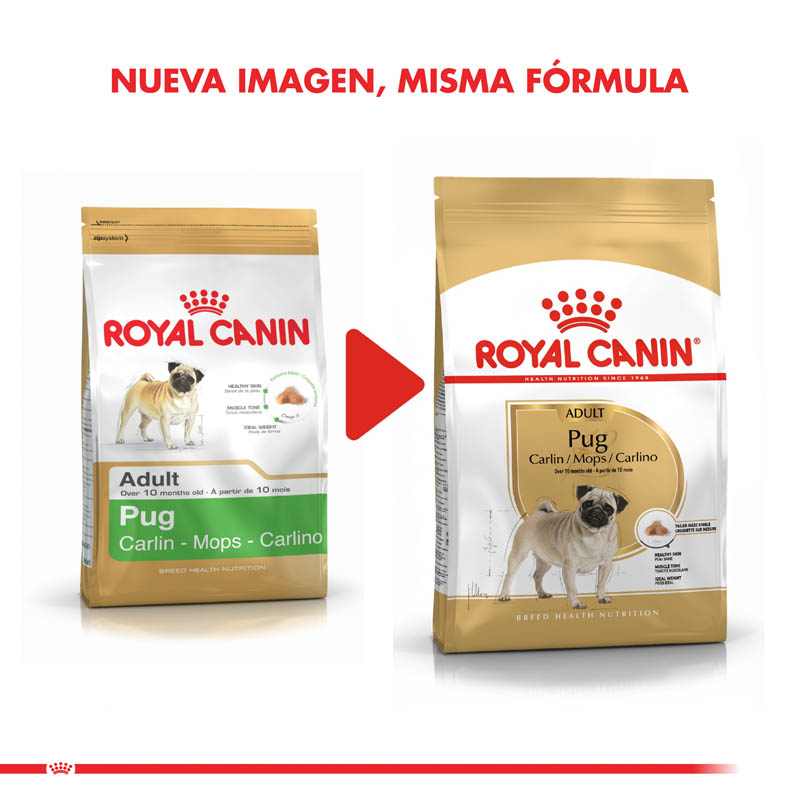 royal-canin-pug-adulto