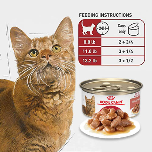 royal-canin-adult-instinctive