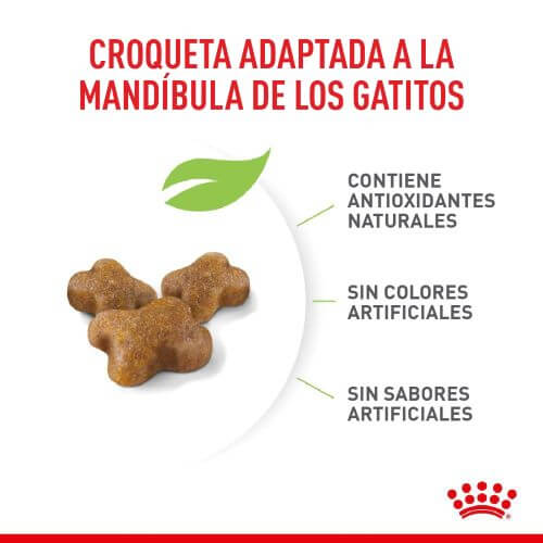 royal-canin-fhn-kitten