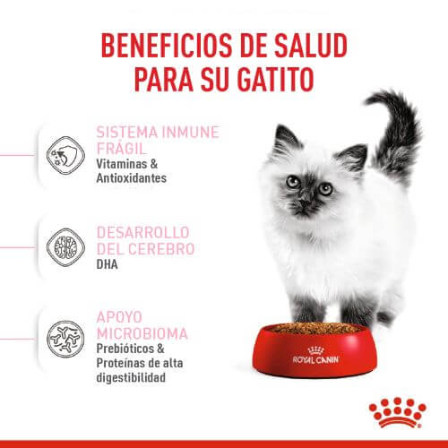 royal-canin-fhn-kitten