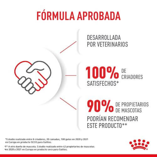 royal-canin-fhn-kitten