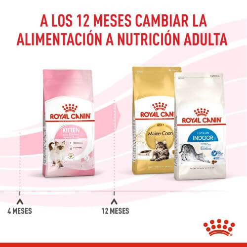 royal-canin-fhn-kitten