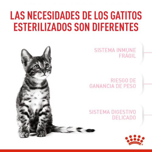 royal-canin-second-age-kitten-sterilised