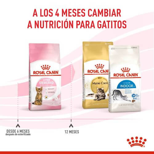 royal-canin-second-age-kitten-sterilised