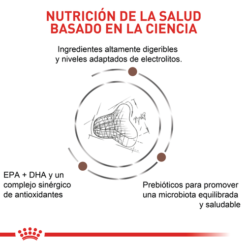 royal-canin-fibre-response-cat