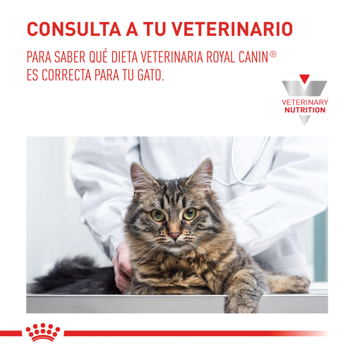 royal-canin-fibre-response-cat