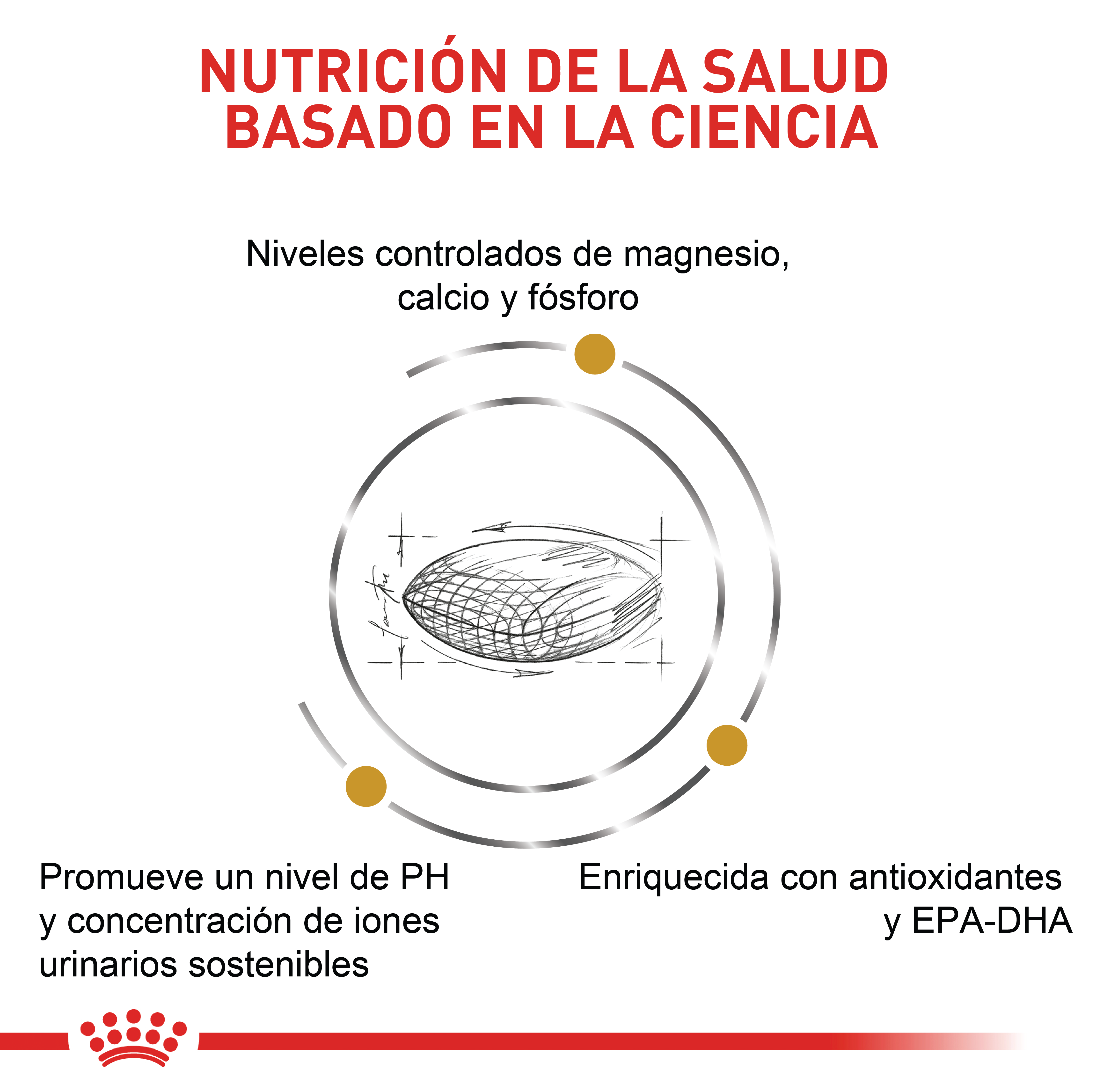 royal-canin-urinary-so-dog