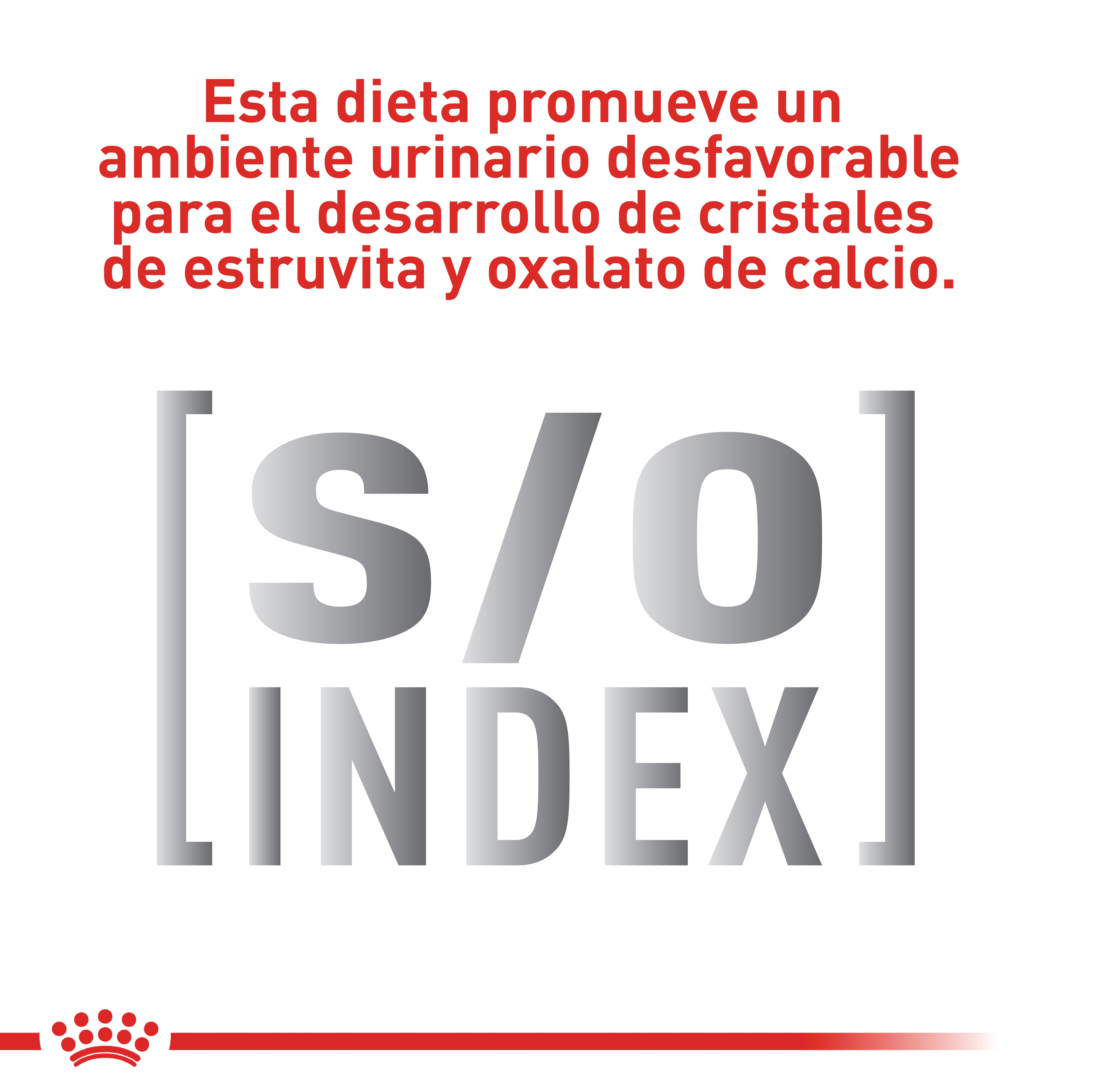 royal-canin-urinary-so-dog
