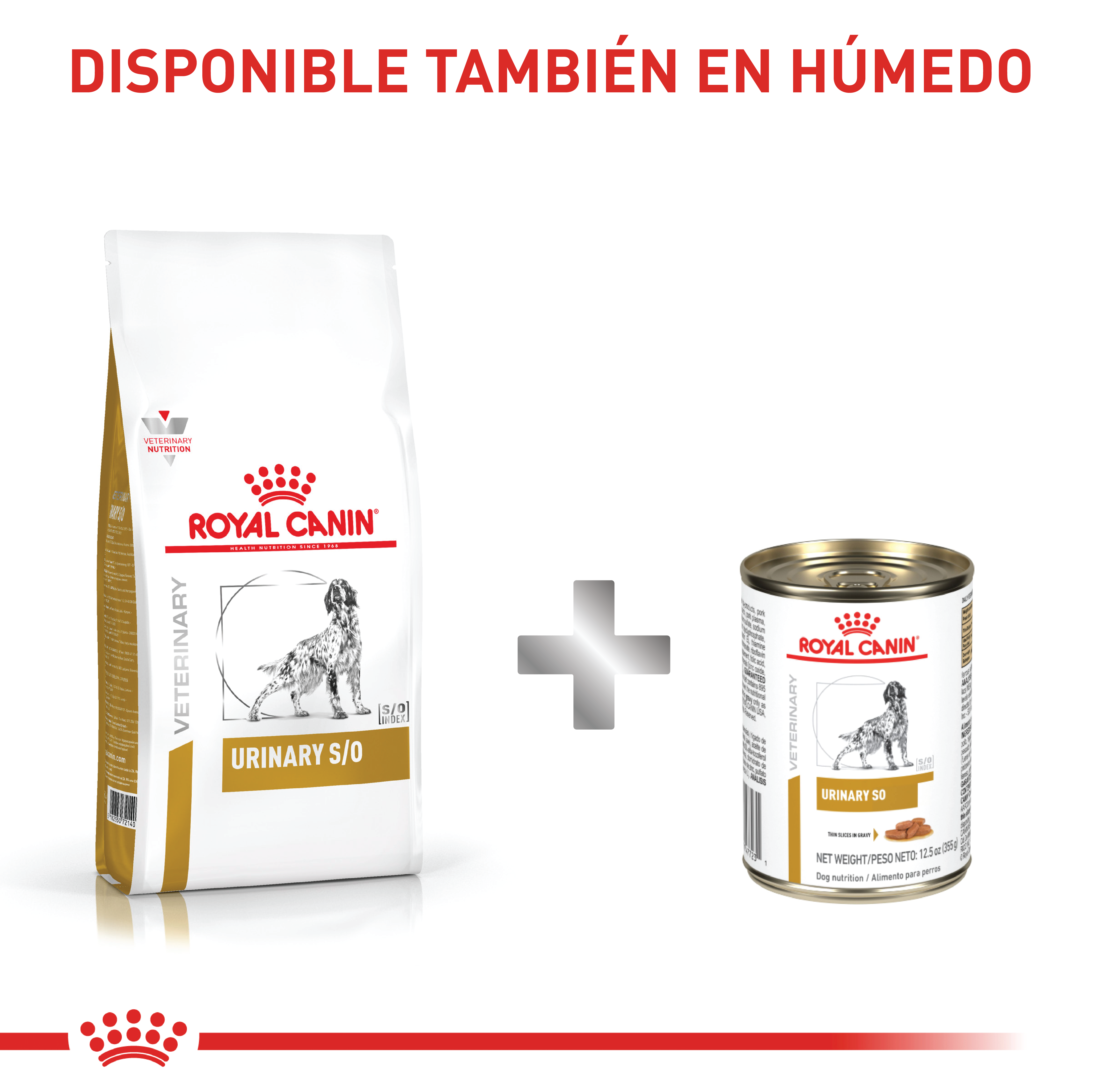 royal-canin-urinary-so-dog