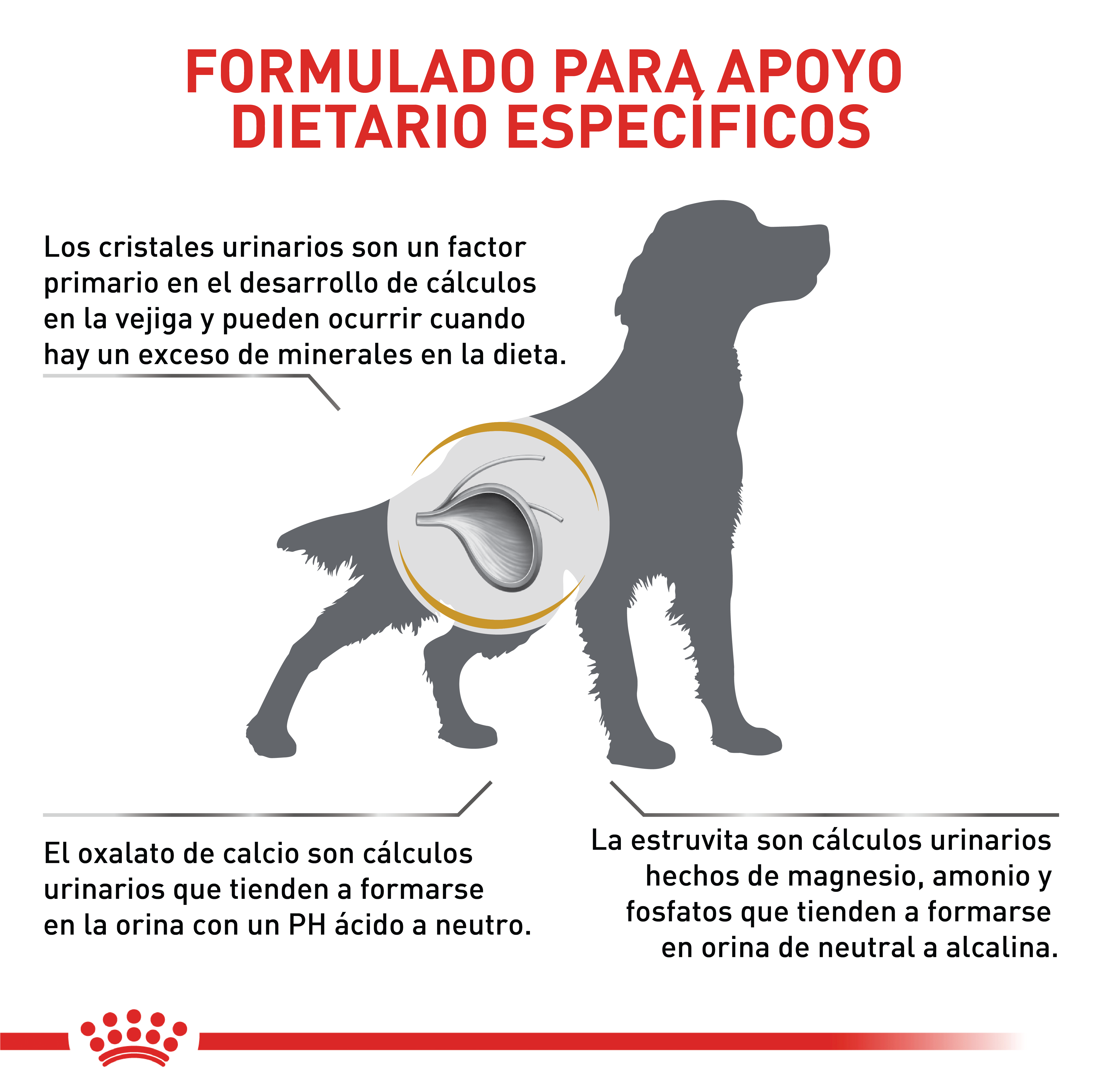 royal-canin-urinary-so-dog