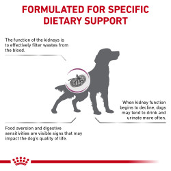 royal-canin-renal-support-s-dog