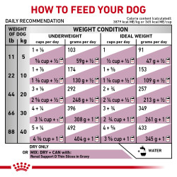 royal-canin-renal-support-s-dog