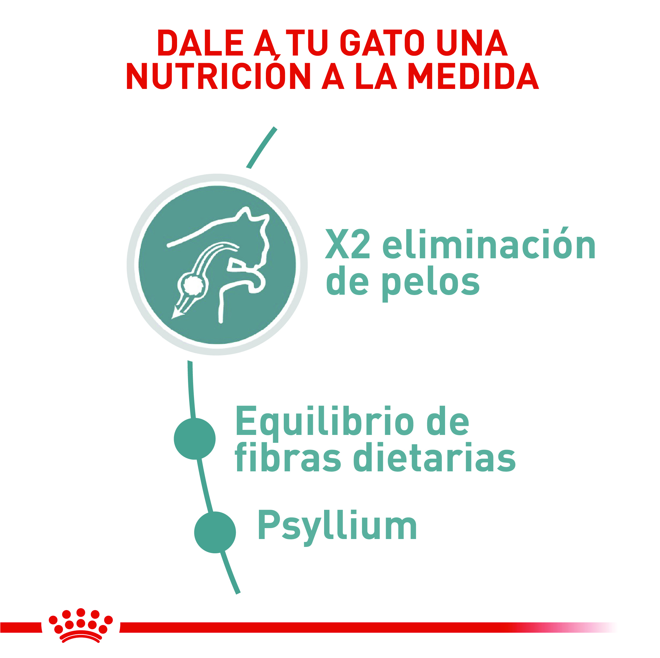 royal-canin-hairball-care